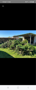 Photo de galerie - Evacuation Dechet