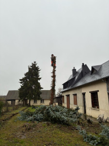 Photo de galerie - Démontage de c’est 2 épicéa 