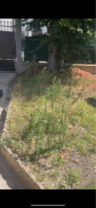 Photo de galerie - Jardinier