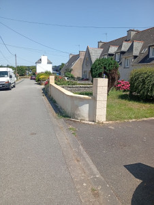 Photo de galerie - Traitement de Muret avec produit algimouss après pulvérisation