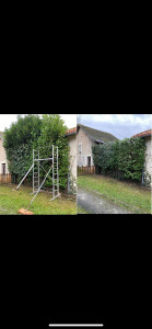 Photo de galerie - Rabattement de haie et taille 