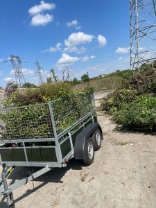 Photo de galerie - Taille de haies et d'arbustes