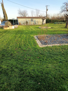 Photo de galerie - Tonte haute, sans ramassage avant l'hiver 