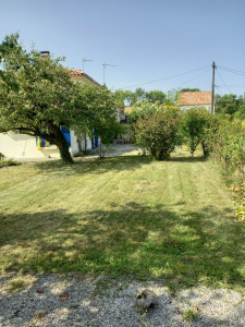 Photo de galerie - Pelouse