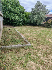 Photo de galerie - Remise au propre (tonte de la pelouse )