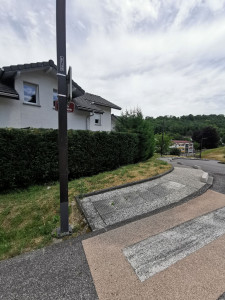 Photo de galerie - Rabattage et taille de haie


