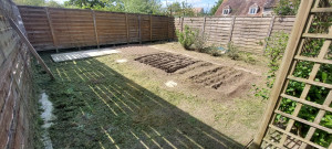 Photo de galerie - Tonte de pelouse - Débroussaillage