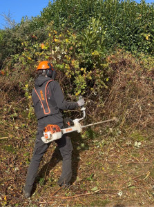 Photo de galerie - Gros débroussaillage d’une zone abandonnée