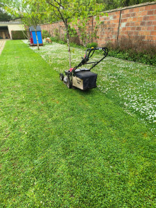 Photo de galerie - Tonte de jardin 

