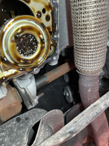 Photo de galerie - Distribution 