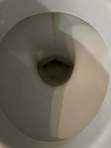 Photo de galerie - WC avant nettoyage 