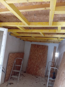 Photo de galerie - Pose de charpentes traditionnelles sur un Petit bâtiment création faut plafond 