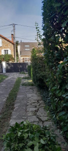 Photo de galerie - Taille des Laurier