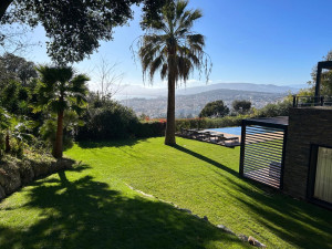 Photo de galerie - Tonte de pelouse