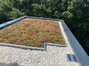 Photo de galerie - Etanchéité d'une terrasse inaccessible végétaliser et protection des acrotères par couvertine