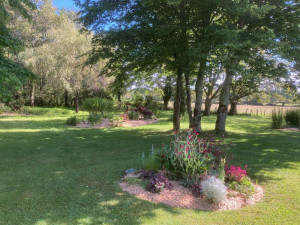 Photo de galerie - Entretien d'un jardin avec création de nouveaux massifs et mise en place de paillage 