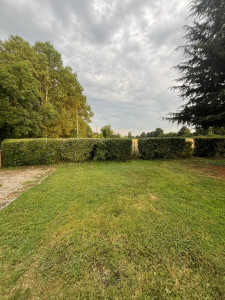 Photo de galerie - Taille de haies et d'arbustes