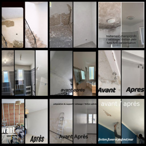 Photo de galerie - Rénovation murs et plafonds , Peinture, pose contre cloisons.....