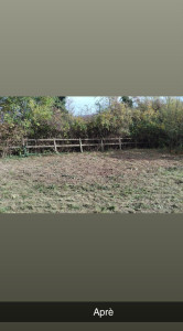 Photo de galerie - Aprè le debroussaillege