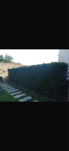 Photo de galerie - Jardinier