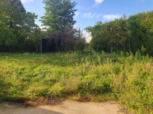 Photo de galerie - Avant