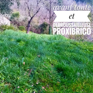 Photo de galerie - Avant tonte et debroussailleuse PROXIBRICO 