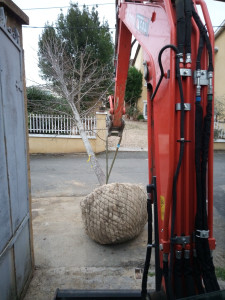 Photo de galerie - Paysagiste - Aménagement du jardin