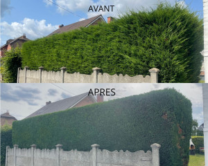 Photo de galerie - Taille de haies avant et après avec évacuation des déchets verts devis et déplacement gratuit dans un rayon de 50 KLM autour de Abbeville (80) 