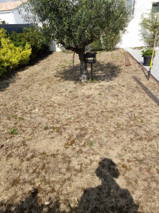 Photo de galerie - Avant 