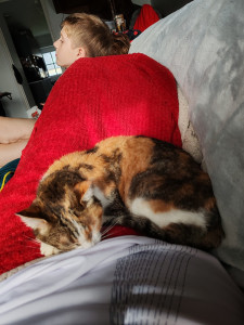 Photo de galerie - Chat: Lea. 