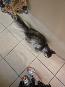 Photo de galerie - L’adorable Wendy de Merville