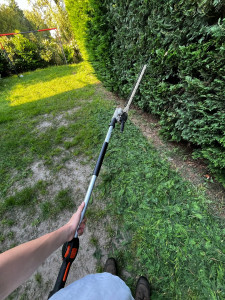 Photo de galerie - Taille de haie 12m 