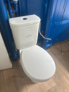 Photo de galerie - Pose de toilette