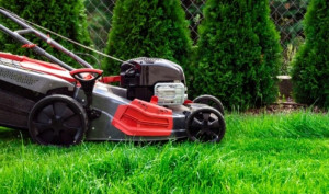 Photo de galerie - Tonte de pelouse - Débroussaillage