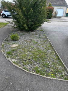 Photo de galerie - Paysagiste - Aménagement du jardin