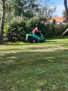 Photo de galerie - Tonte de jardin 