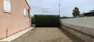 Photo de galerie - Taille de haie après