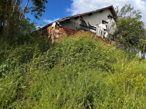 Photo de galerie - Tonte de pelouse - Débroussaillage