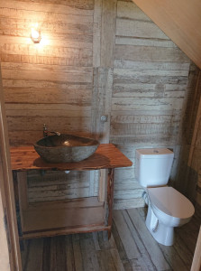 Photo de galerie - Pose d'une vasque en pierre avec WC classique 