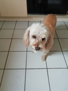 Photo de galerie - Jalia petite Pepette très gentille 