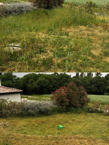 Photo de galerie - Remise au propre d’un jardin