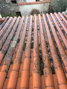 Photo de galerie - Nettoyage d’une toiture en cours