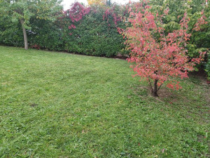 Photo de galerie - .