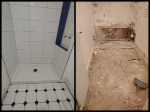 Photo de galerie - SDB