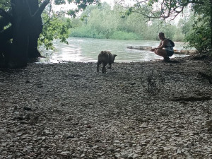 Photo de galerie - Photo d'un animal 