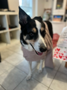 Photo de galerie - Blue en mode défilé de mode