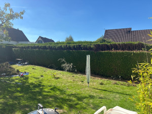 Photo de galerie - Rabattage de haie 