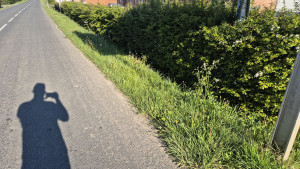 Photo de galerie - Taille solre le chateau 