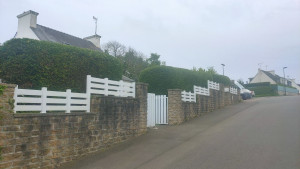 Photo de galerie - Taille d'une haie de thuya.