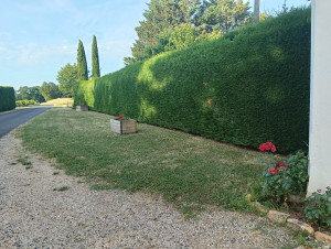 Photo de galerie - Jardinier